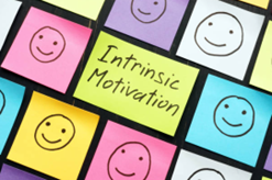 Het belang van intrinsieke motivatie 